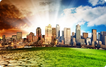Lorem ipsum dolor sit amet consectetur adipisicing elit. Copy
