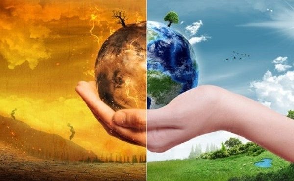 Vai trò của đầu tư tư nhân trong ứng phó với biến đổi khí hậu
