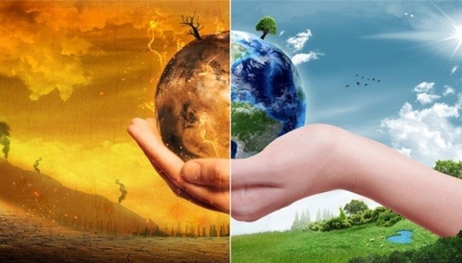 Vai trò của đầu tư tư nhân trong ứng phó với biến đổi khí hậu
