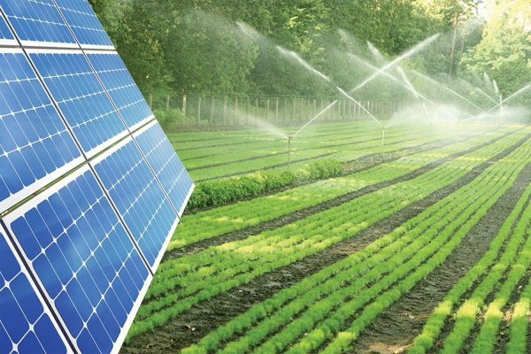 Phát triển khoa học công nghệ trong bối cảnh biến đổi khí hậu, ô nhiễm môi trường