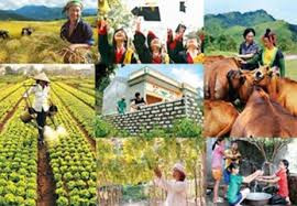 Nghị quyết số: 73/NQ-CP về việc phê duyệt chủ trương đầu tư các Chương trình mục tiêu giai đoạn 2016 – 2020